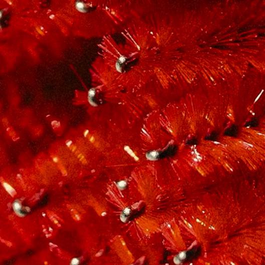 Sleigh-All-Season Lash Lift Bundle 